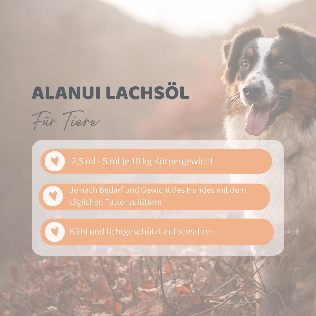 alanui Lachsöl für Hunde, 2 x 500 ml Dosierflasche