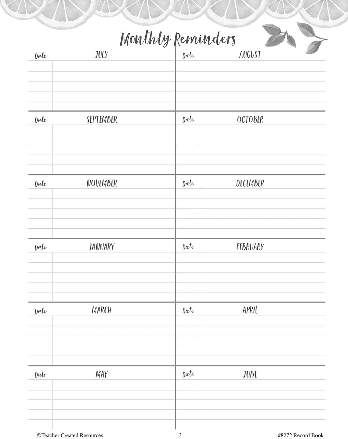 Teacher Created Resources ​Lemon Zest Record Book (TCR8272)