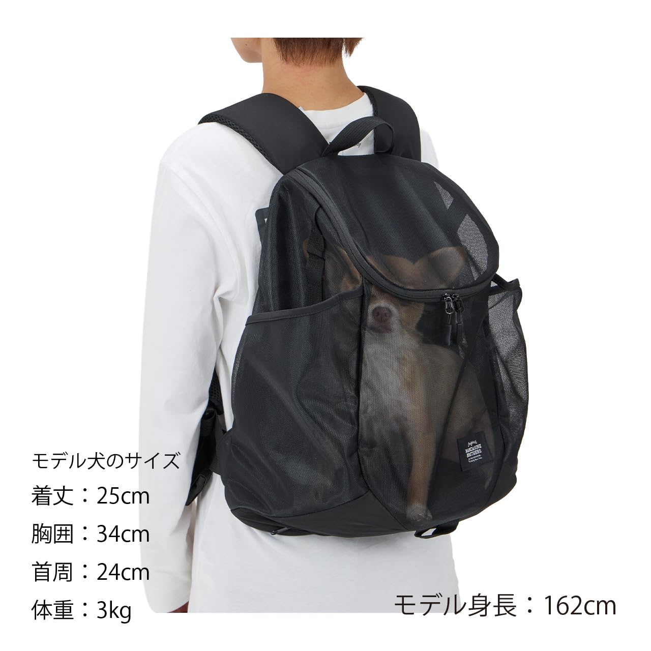 Amazon.co.jp: MANDARINE BROTHERS マンダリンブラザーズ MESH WINSTON