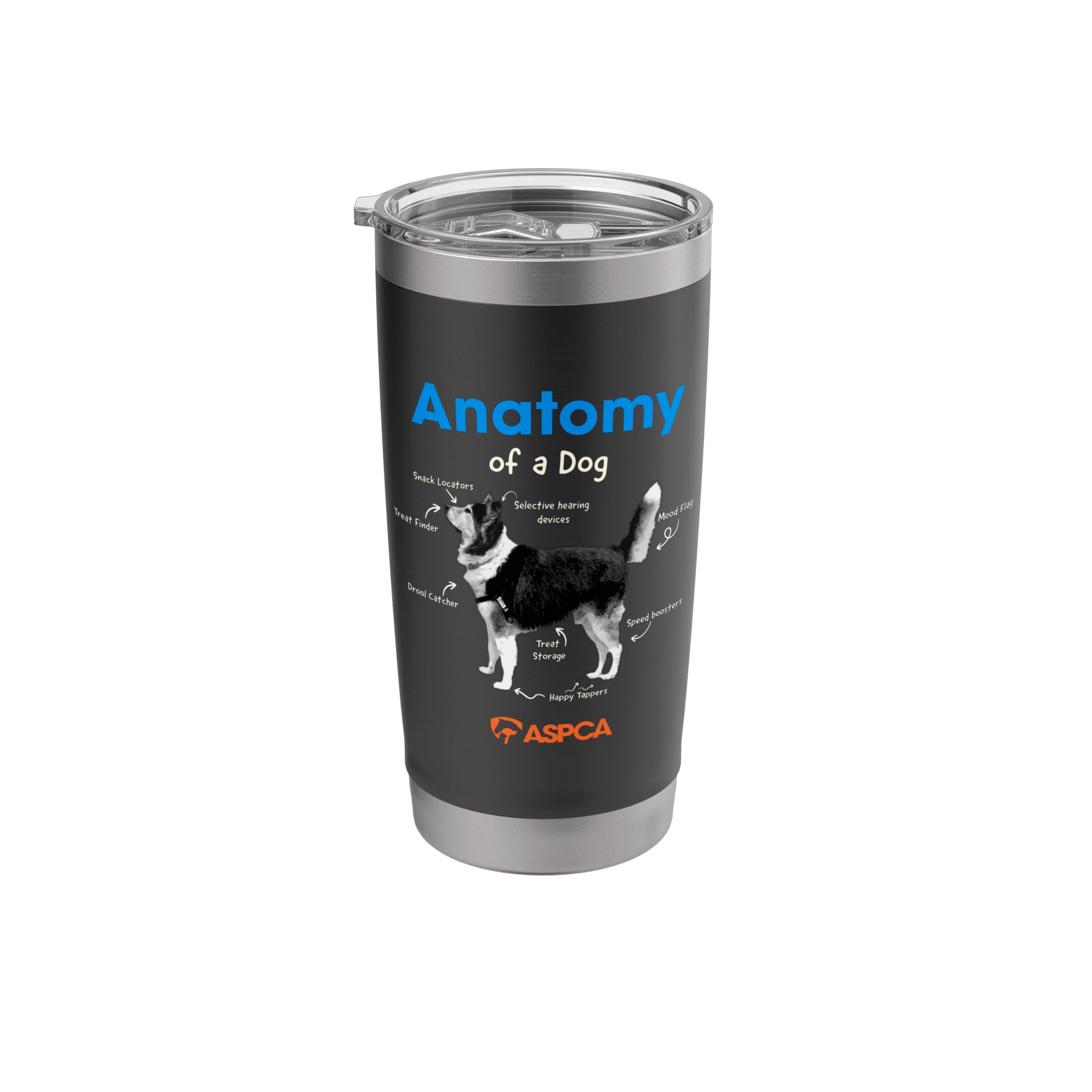 Anatomy of a Dog Stainless Steel Insulated Tumbler