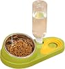 Cat Food And Water Bowl Set, Tilted Stainless Steel Cat food and water Bowl for Small Medium Dogs Cats (green)
