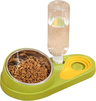 Cat Food And Water Bowl Set, Tilted Stainless Steel Cat food and water Bowl for Small Medium Dogs Cats green