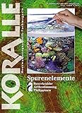 koralle zeitschrift  Koralle [Abonnement jeweils 6 Ausgaben jedes Jahr]