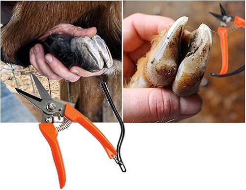 Miniatura 8 de Cortadora de pezuñas de cabra de acero al carbono para ovejas, cabras, pezuñas de cerdo, a prueba de óxido, recortadoras de doble hoja, podredumbre