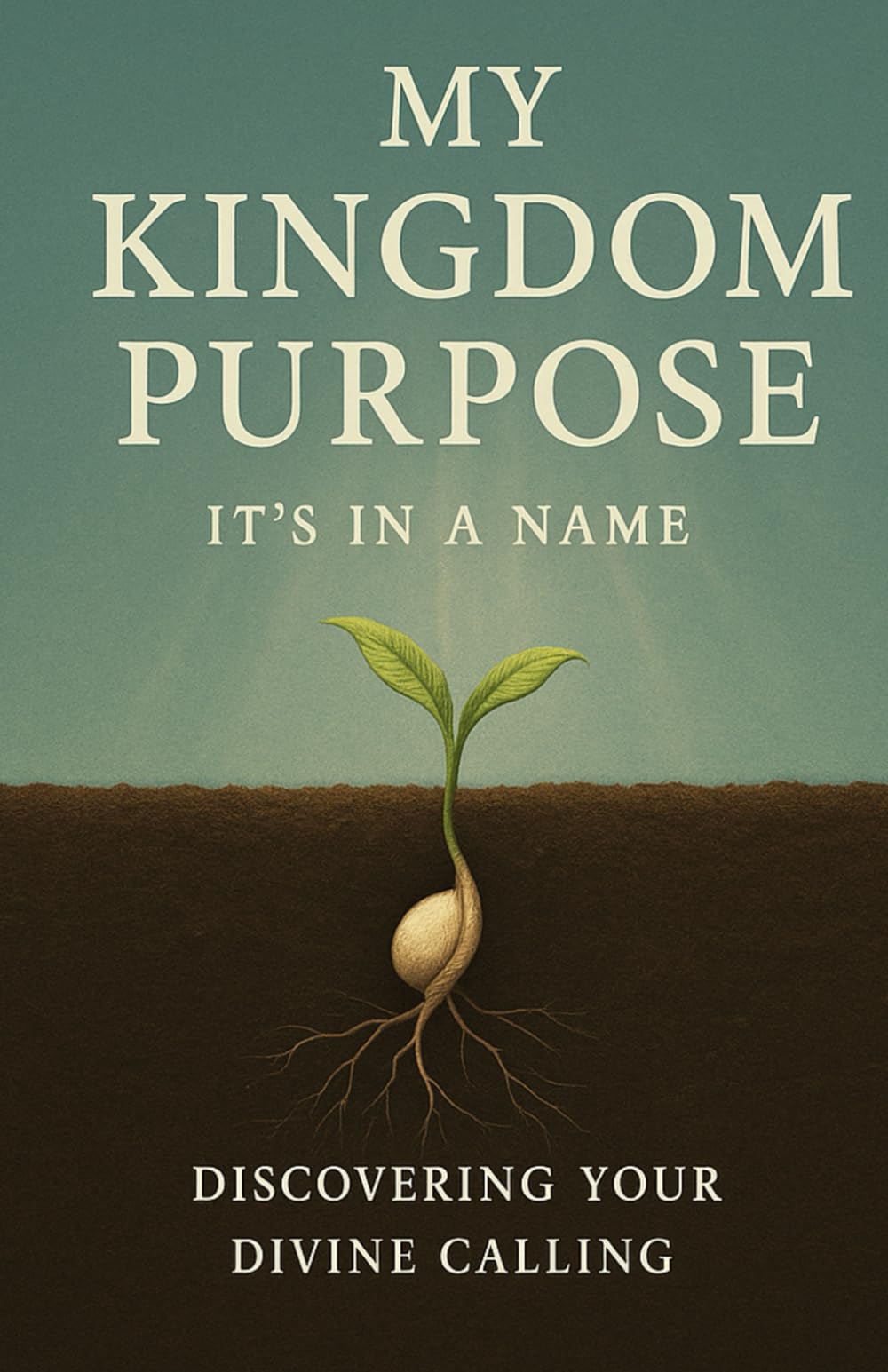 My Kingdom Purpose: Its In A Name: Discovering Your Divine Calling (The Kingdom Journey Series)