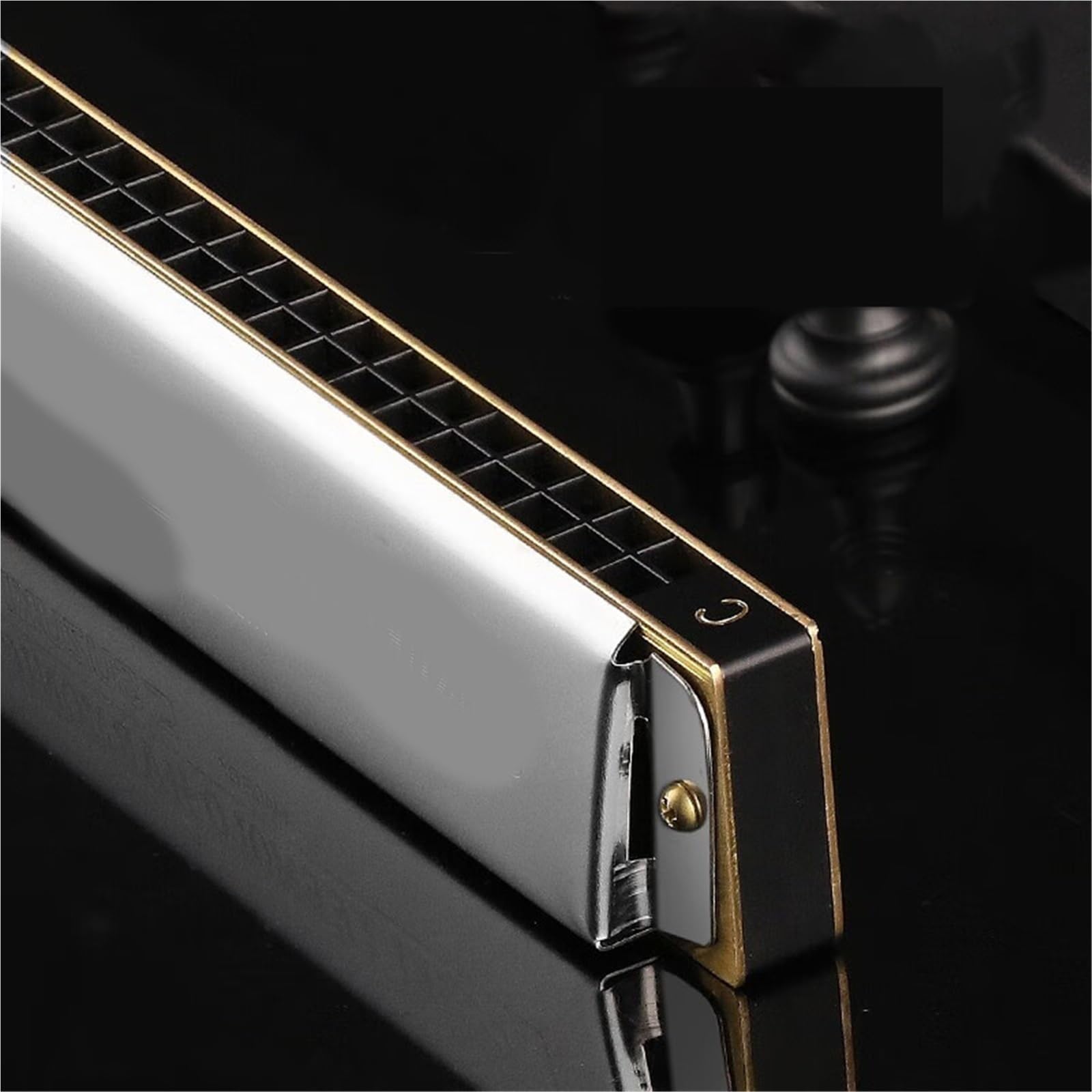 Professional Harmonica Harmonica Diatonique 24 Trous En Do Majeur Instrument Professionnel Pour Adultes