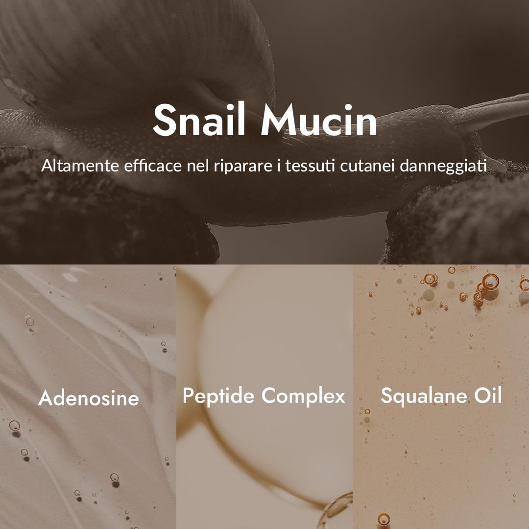 [MIZON] SNAIL REPAIR EYE CREAM (25ml) Cura coreana - Crema contorno occhi rigenerante - Anti-invecchiamento & correttore - Brillante e compattezza - Estratto di bava di lumaca