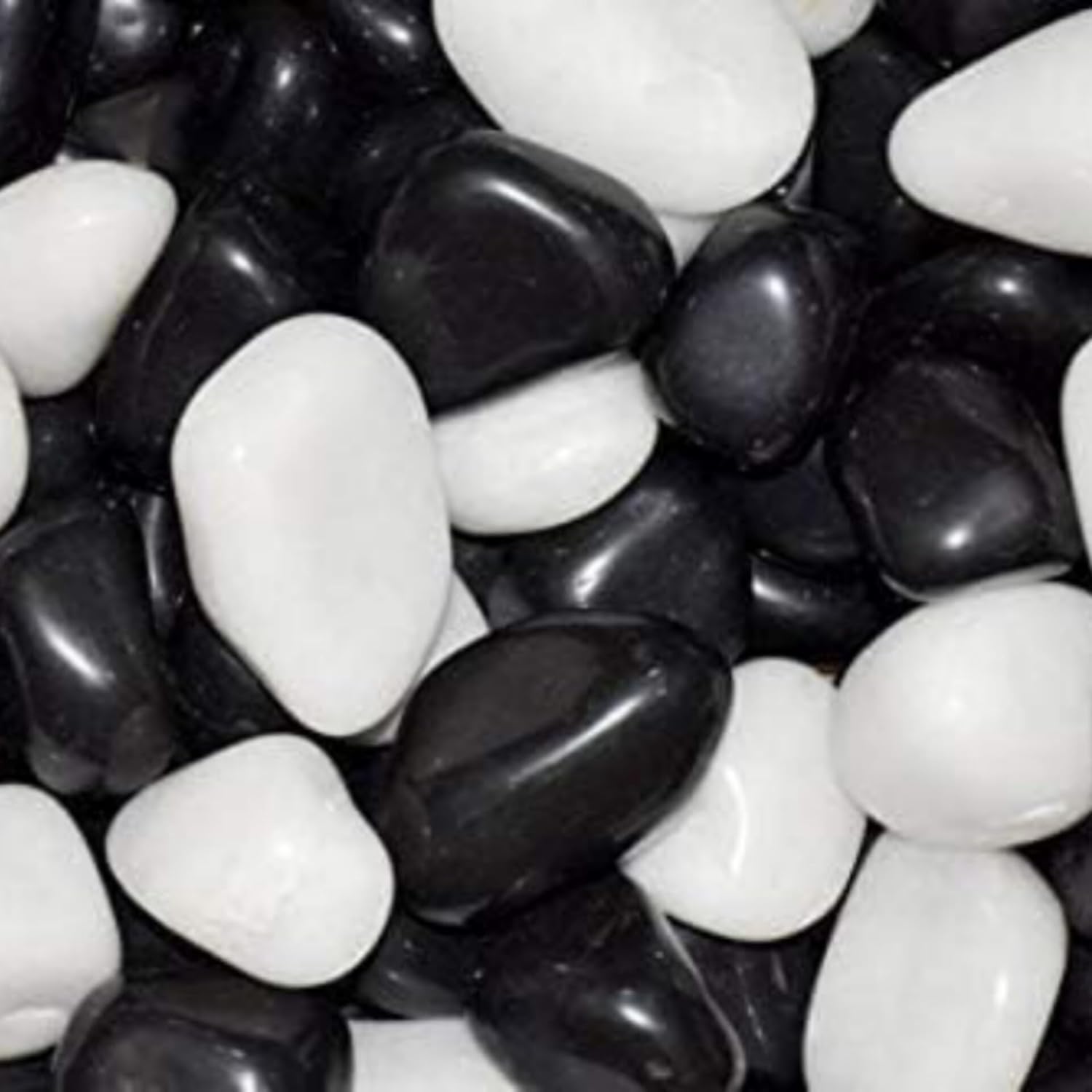 Omiyage®Natural Black & White Pebbles Stones for Plant Pots,Fish Tank Aquariums,Garden Decor,Home Decor,Vases, Table Centerpieces,DIY Projects,Decorative Rocks for Indoor & Outdoor Decoration 1kg Pack-image-35