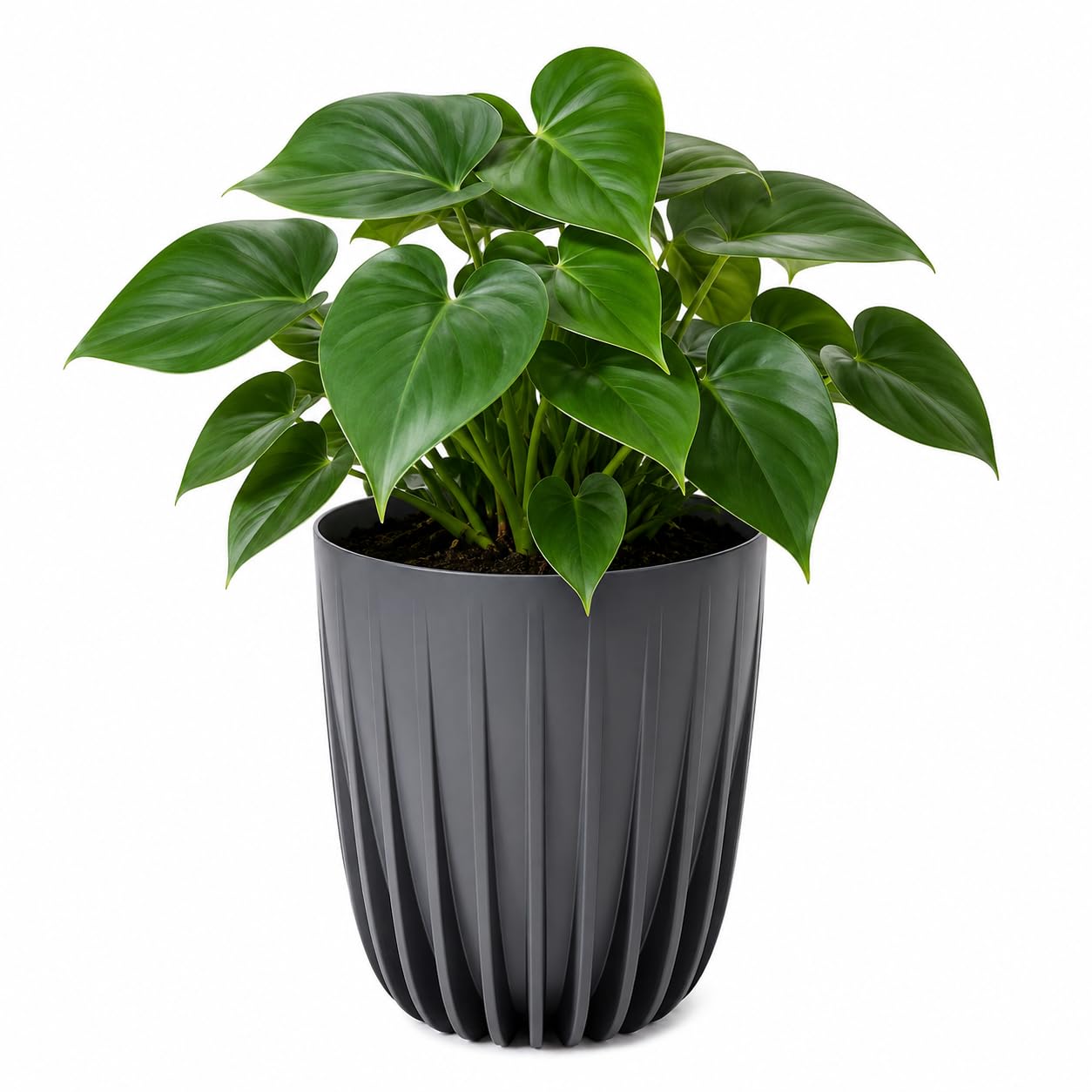 Modern Ribbed Plant Pot and Bowl Planter, Decorative Plastic Flower Pot