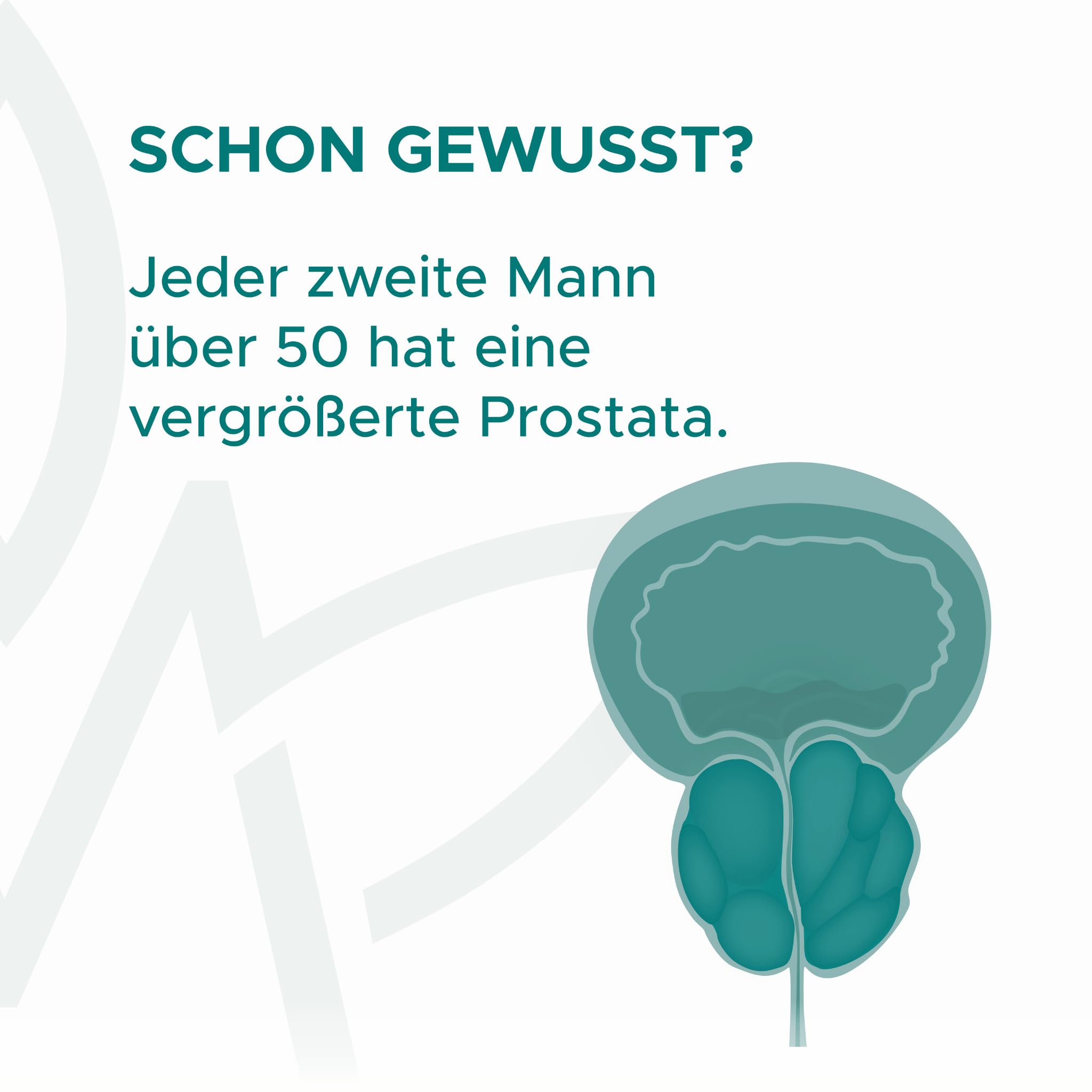 Prosta Komplex hochdosiert - Einzigartige Formel mit Kürbiskern Extrakt, Sägepalme Extrakt, Granatapfel Extrakt, jap. Schnurbaum Extrakt, Vitamin E, Zink & Selen