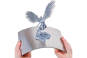 Sovol 2 Pack 10 Inch SATURN 2 3D Printer Flex Build Plate,...