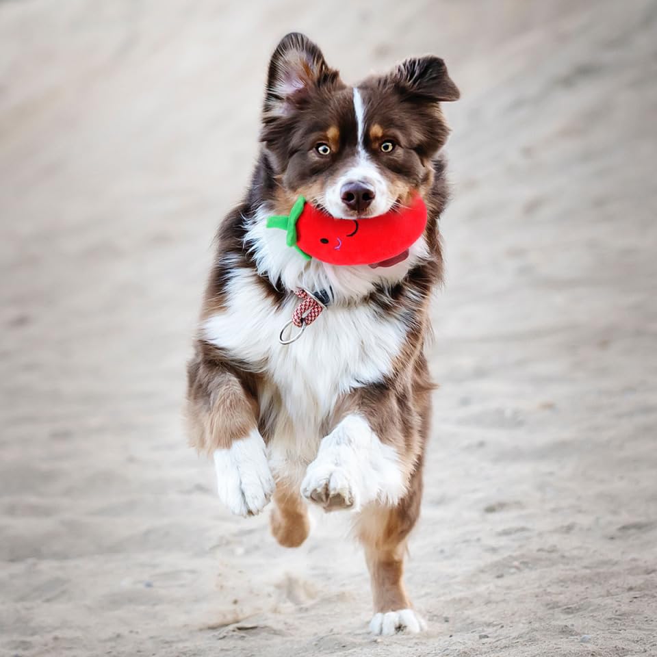 BESPORTBLE Vegetable Toy: Small Plush Toys for Dogs Chilli Soft Chew Dog Toy, As Shown, medium - Image 4