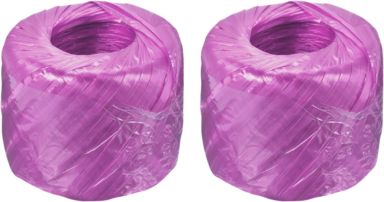 MECCANIXITY Polyester Nylon Plastic Rope Twine Household Bundled for Packing Gardening Craft,300m Total Length,Purple Pack of 2