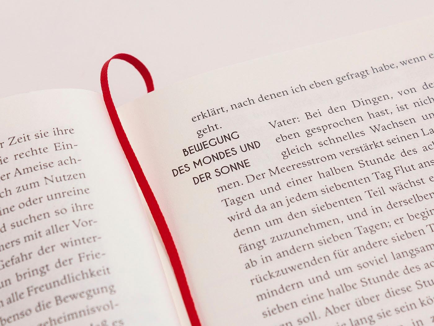 Der Königsspiegel: Fahrten und Leben der alten Norweger, aufgezeichnet im 13. Jahrhundert (Die Andere Bibliothek, Band 417)