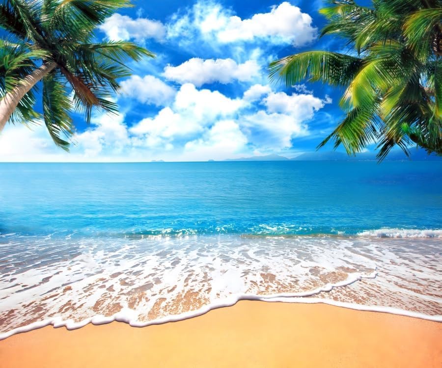 Pnylzzyxh Summer Tropical Beach Backdrop Blue Sea Sky White Clouds Palm Trees Backdrop Theme Portrait Photography Background Holiday Photo Video