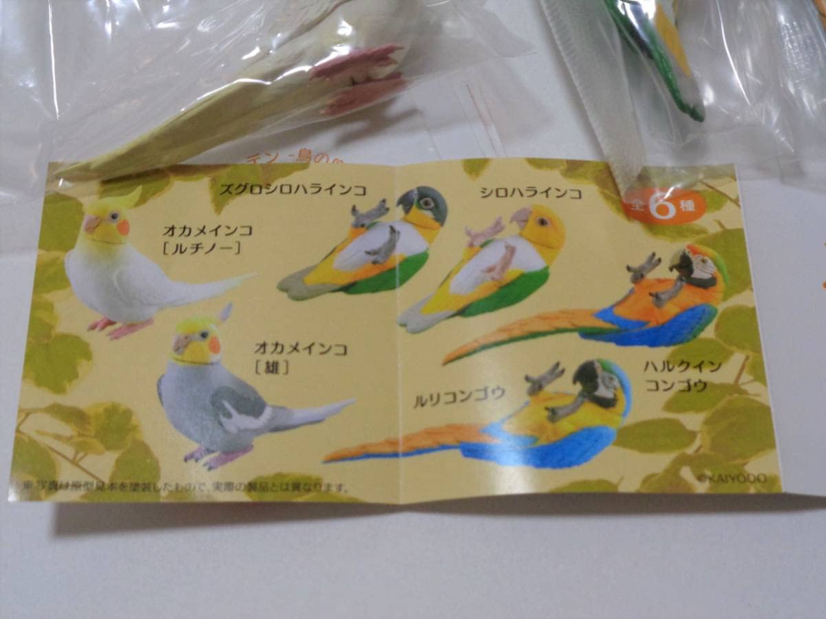 フィギュア　高山の花鳥　海洋堂　未開封　非売品　まとめ売り　全種類コンプ　動物 Amazon.co.jp: バードガーデン 鳥の庭 全6種セット カプセルQ