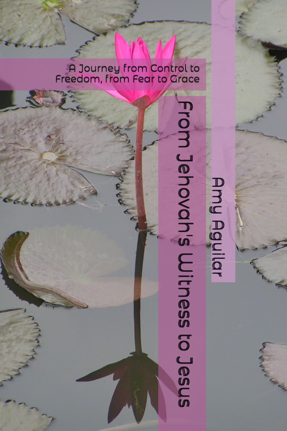 From Jehovah's Witness to Jesus: A Journey from Control to Freedom, from Fear to Grace