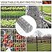 Tongmo 3 ft x 100 ft Galvanized Welded Wire Fence, 16GA Garden Chicken Wire Fence Roll, Mesh Size 2