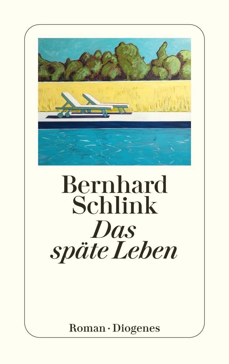 Das späte Leben: Roman (Diogenes Taschenbuch, 24808)