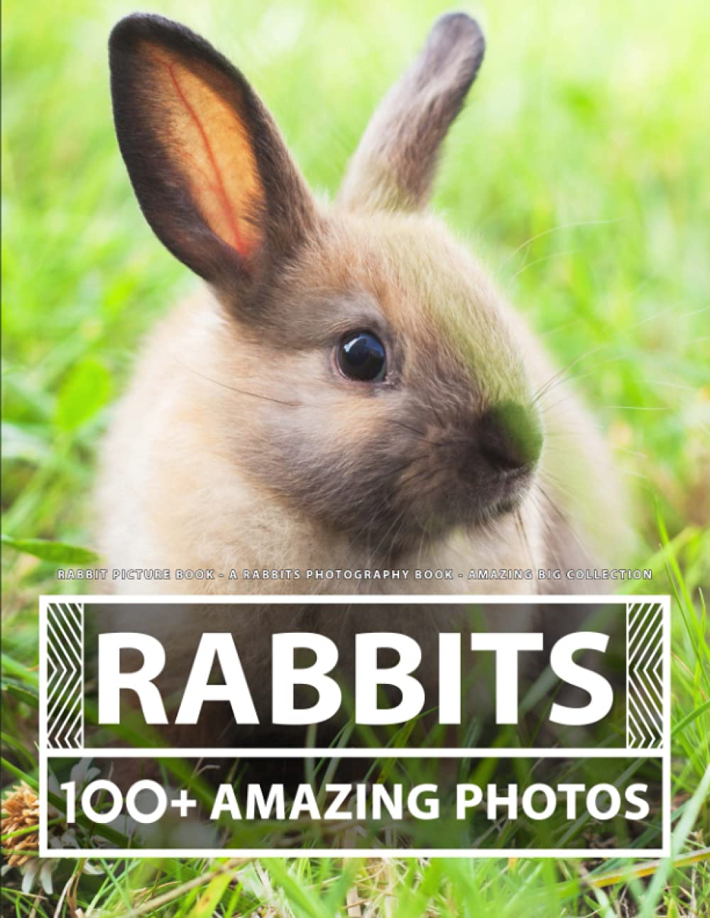 Rabbit Picture Book - A Rabbits Photography Book - Amazing Big Collection: 100+ Amazing Pictures of Rabbits in this Beautiful Rabbit photo book