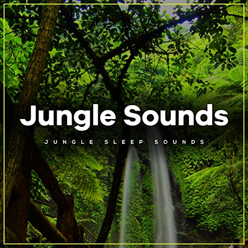 Jungle Sounds von Jungle Sleep Sounds bei Amazon Music Amazon.de