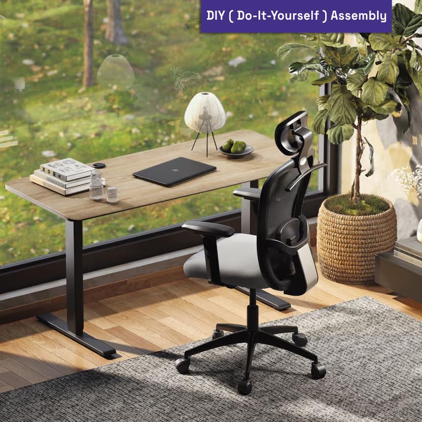 Image of Lakdi The Furniture Co. Mesh Office Chair | Ergonomic Mid-Back Design, Compact Frame & Padded Seat for All-Day Comfort | Ideal for Home Office, Study, Reception & Daily Use