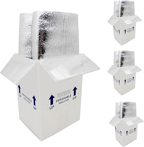 Enfriadores de envío perecederos de 7 x 6 x 10 pulgadas, pequeña caja térmica aislada para alimentos congelados, paquete de 4 cajas de cartón con