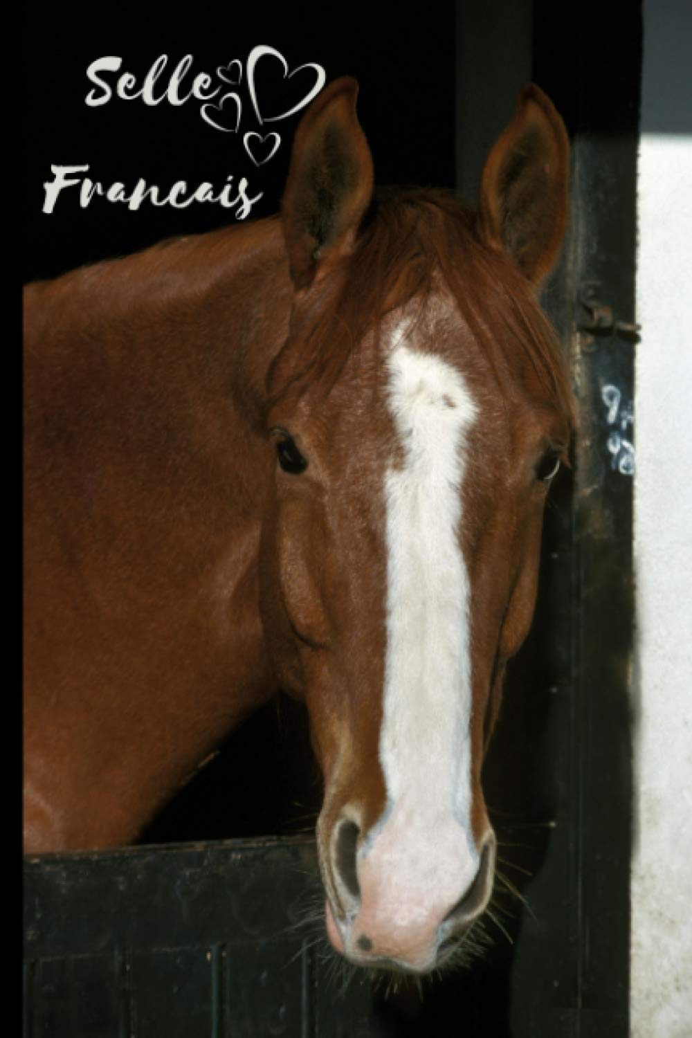 Selle Francais Horse Notebook For Horse Lovers: Composition Notebook 6x9" Blank Lined Journal