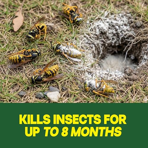 Image of Raid Outdoor Wasp Ground Nest Killer, Dust Insecticide for Outside Household Use, Wasp Killer, Fast-Working and Odorless, 24 Oz