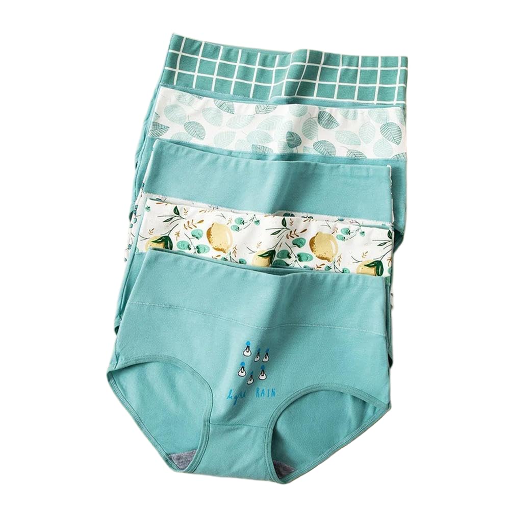 DYRBF - Bragas de algodón de cintura alta para mujer, ropa interior adelgazante, sin costuras, ropa interior sexy y transpirable para mujer, 4 piezas