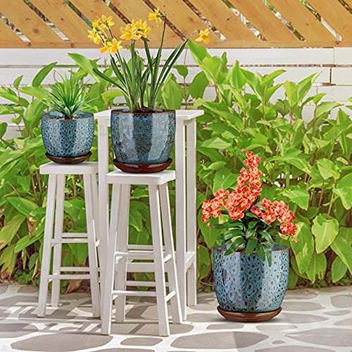 Test Du Grand Pot De Fleurs D’vine Dev En Céramique Avec Drainage