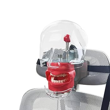 歯科　マネキン　ファントム Jingle JG-C4 歯科ファントム 歯科チェアに取り付ける (Frasaco