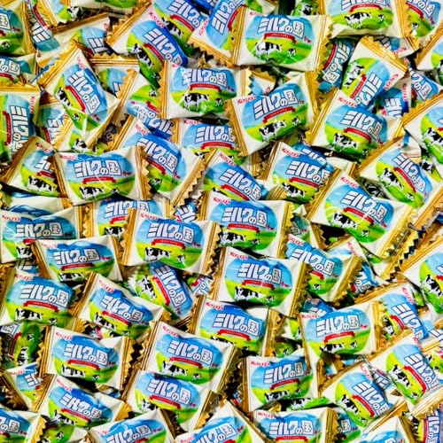 t䐻 ~N̍ 300Ɩp e rbNVFApbN