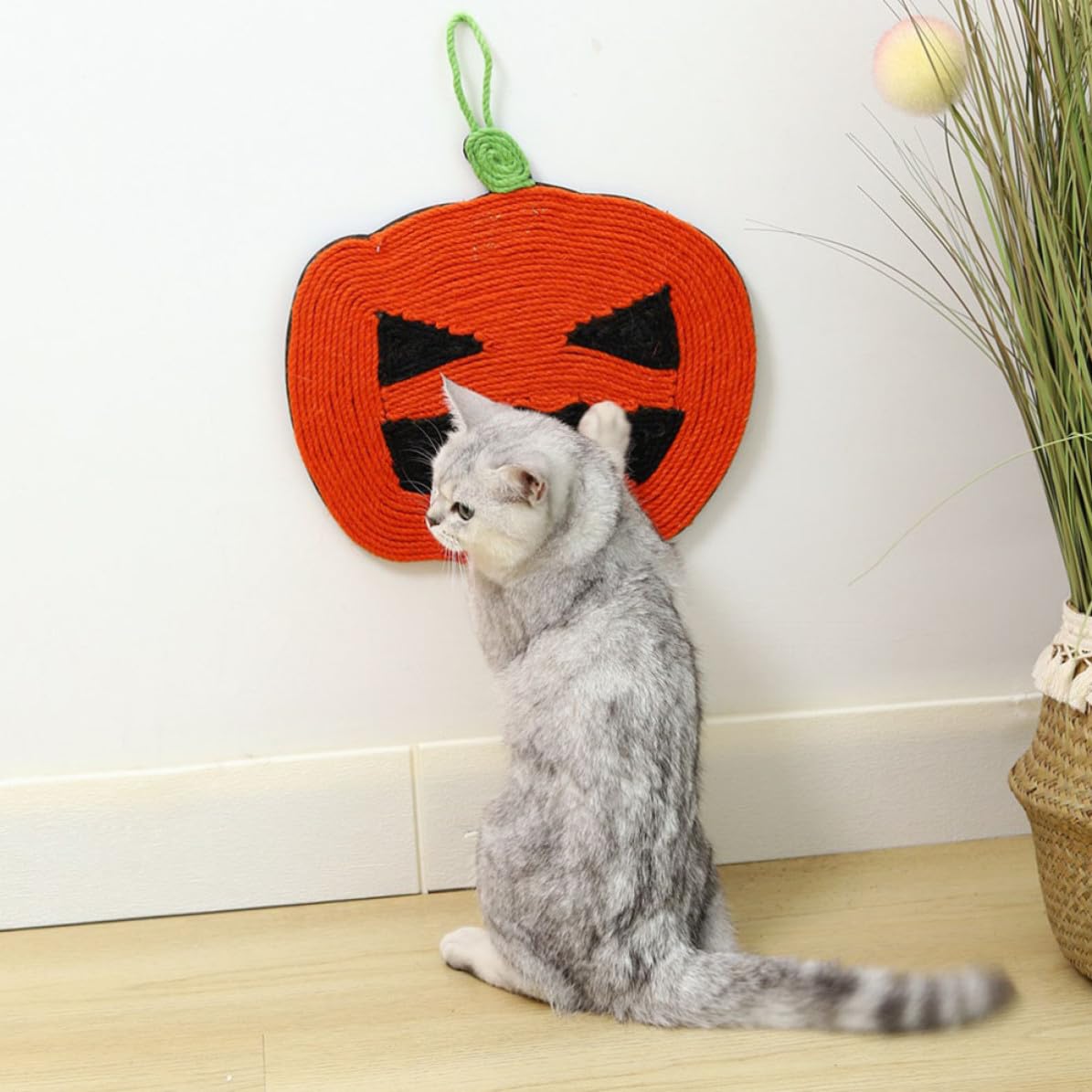 4 Pièces Griffoir pour Chat d'halloween en Sisal, Chaton Maison