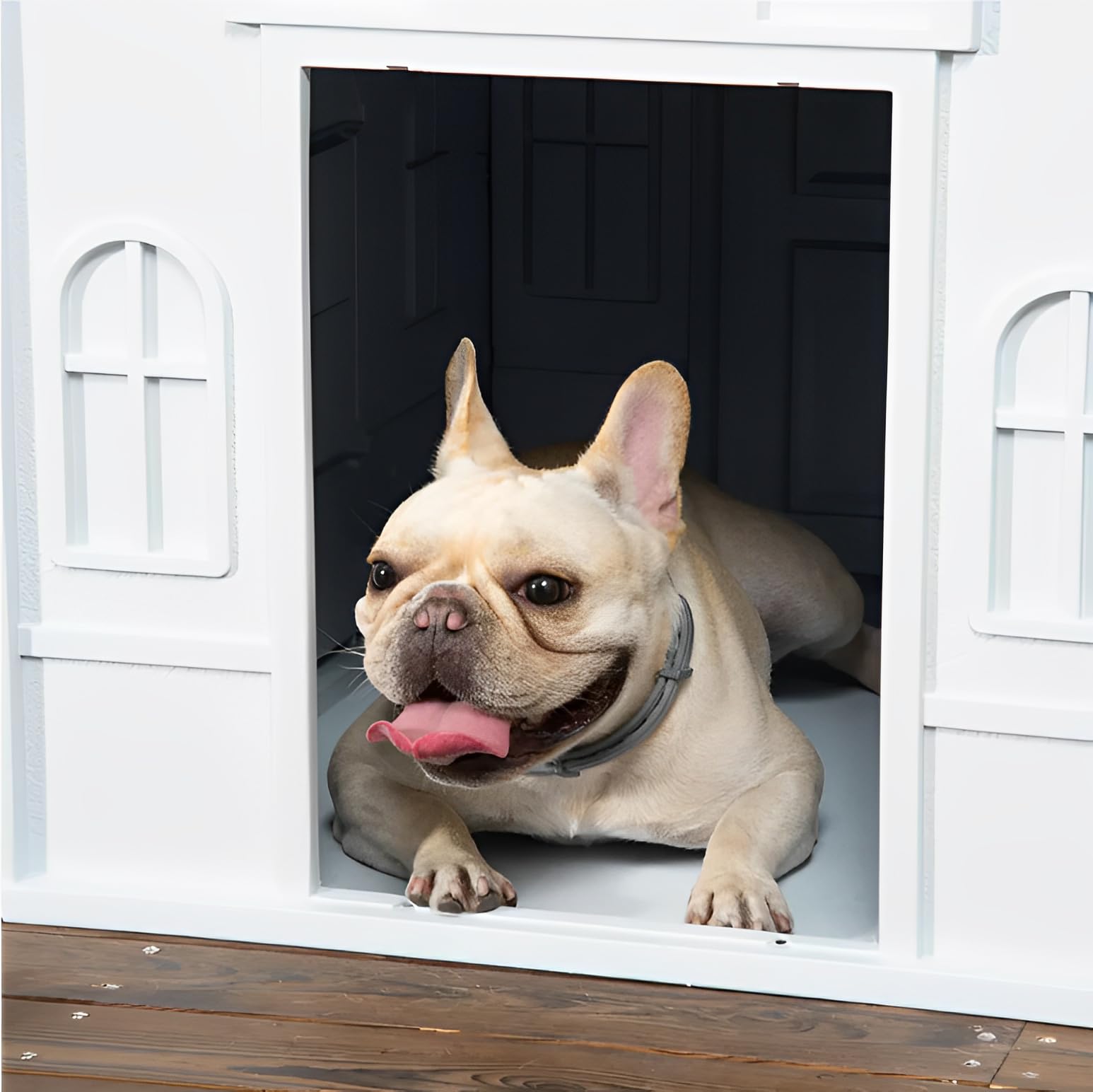 Lanco - Caseta para Perros Pequeños y Medianos. Uso Interior y Exterior con ventilación. Material Resistente. 75x65x63cm. Azul y Blanco.