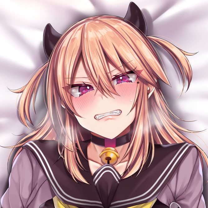 Amazon.co.jp: 【正規品】JCミヤちゃん抱き枕カバー○調教ver.（アクア  