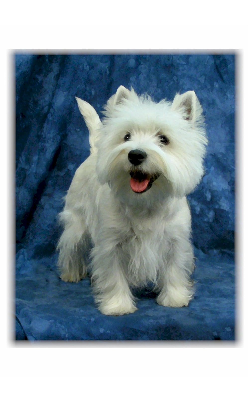 West Highland Terrier Westie NOTE CARDS