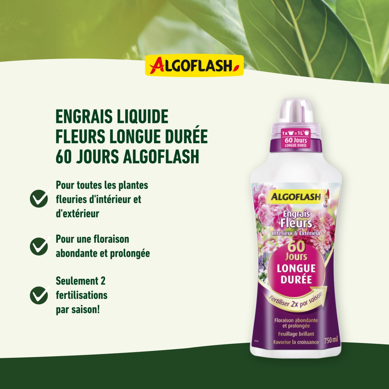 Algoflash ALD750 Dnger fr Blumen, lange Haltbarkeit, 60 Tage, Dosierkappe  inklusive, 750 ml : Amazon.de: Garten