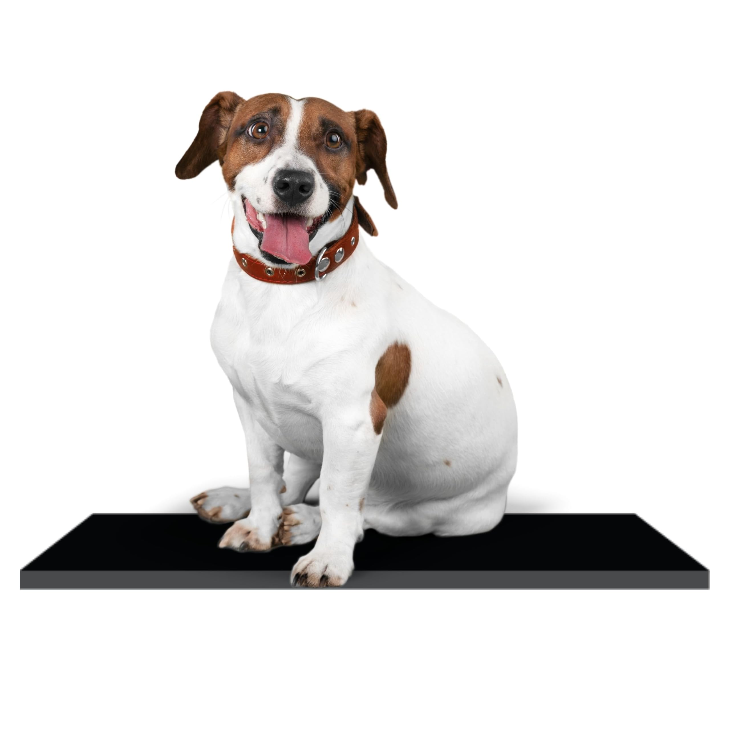 Elysian Dog Mat for Home and Outdoor 100% Waterproof and Reusable| Rubber Sheet for Dogs and Cat Easy to Carry Material Size -(6mm)100X60CM (B0CQ4NVCJ8) Amazon Price History, Amazon Price Tracker