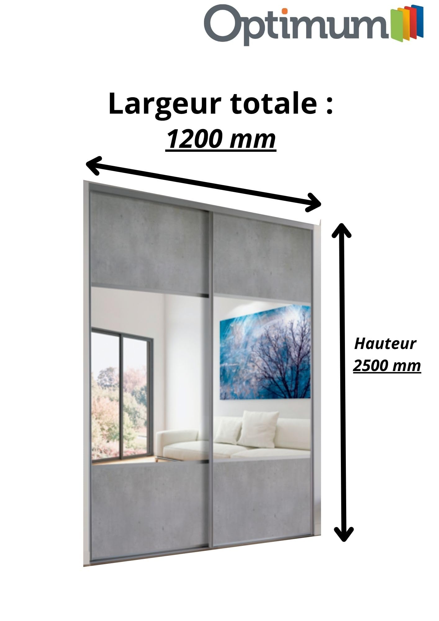 OPTIMUM Portes de Placard coulissantes - L120 cm x H250 cm - Décor Béton et Miroir Argent - Rail Haut et Bas - 2 amortisseurs