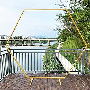 ZHANGZ Contesto dell’Arco di Nozze, Arco Nuziale Esagonale del Ferro per Il Layout della Decorazione del Festival di Natale del Fondo del Fiore d’attaccatura,White-1.2M