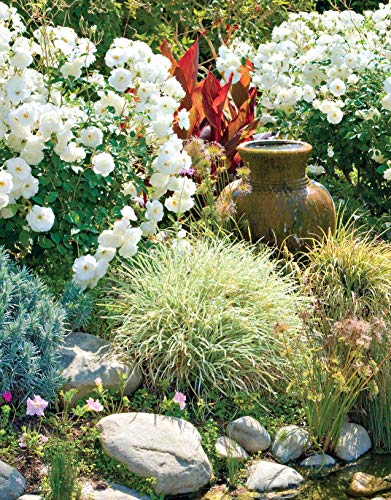 Western Home Landscaping: 42 Landscape Designs, 300+ Plants & Flowers Best Suited to the West (Creative Homeowner) Garden & Landscape Ideas for AZ, CA, CO, ID, MT, NM, NV, OR, UT, WA, WY, & BC, Canada - Image 7