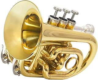 Student Brass Trumpet Trumpet Instrument Palm Number Beginner B-flat Portable Cornet Instrument