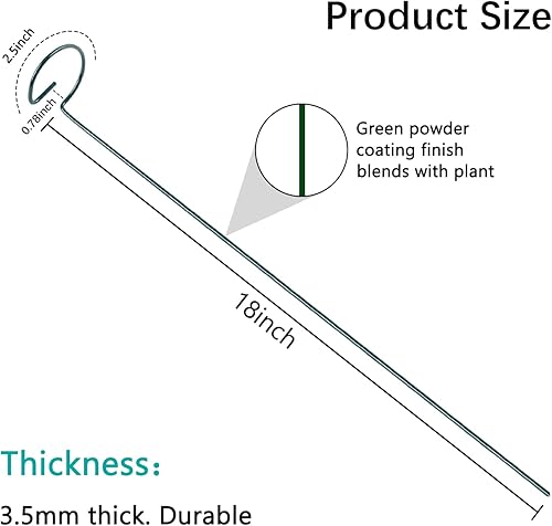 Miniatura 3 de Thealyn Paquete de 12 estacas de soporte para plantas de 18 pulgadas, aros de metal de soporte de flores de un solo tallo, estacas de plantas de
