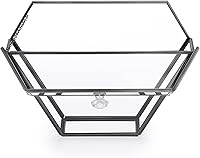 Vista 9 de ELLDOO Soporte de filtro de café de vidrio negro Contenedor de almacenamiento de papel de café Dispensador de papel de filtro Estante con cubierta a