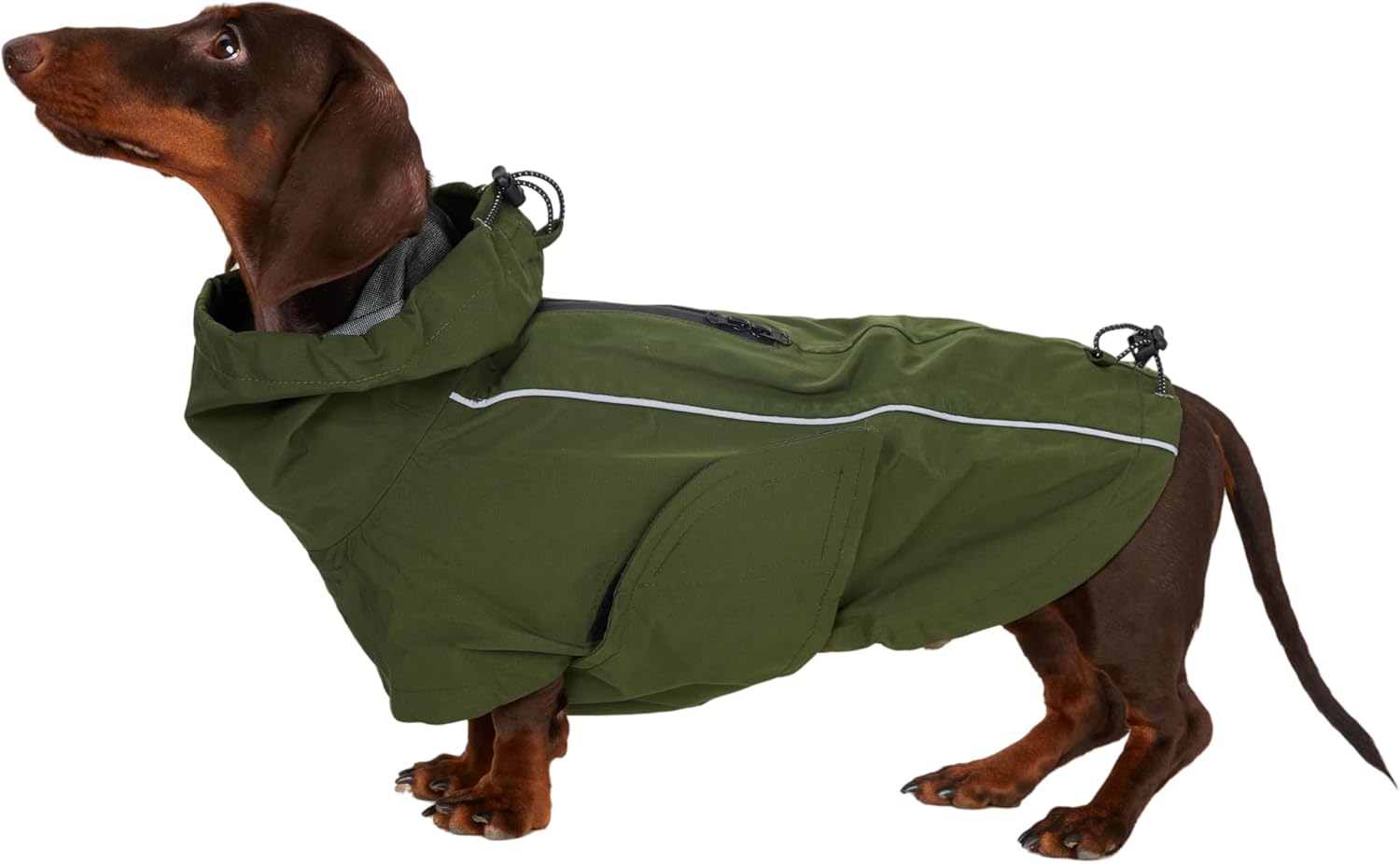 Waterproof Dog Raincoat, Hooded Raincoat for Dachshund Whippet Small Medium Large Dogs, Adjustable Dog Rain Coat Jacket (04(Chest 20''-23'', Back 16.5-18.5''))