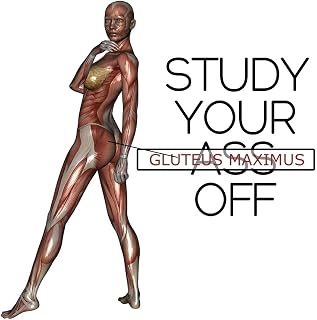 STUDY YOUR GLUTEUS MAXIMUS OFF: Funny 2020 Daily Planner * Sarcastic Meme Gift for Anatomy Students * 6" x 9" 370 pages