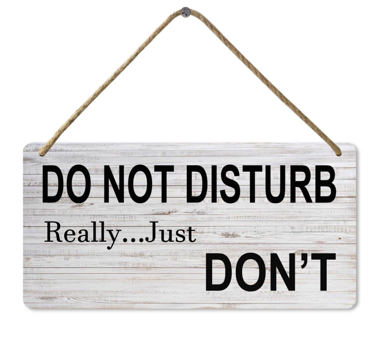 Do Not Disturb Wooden Wall Sign, Meeting Sign for Office Door, 8x12 Inch