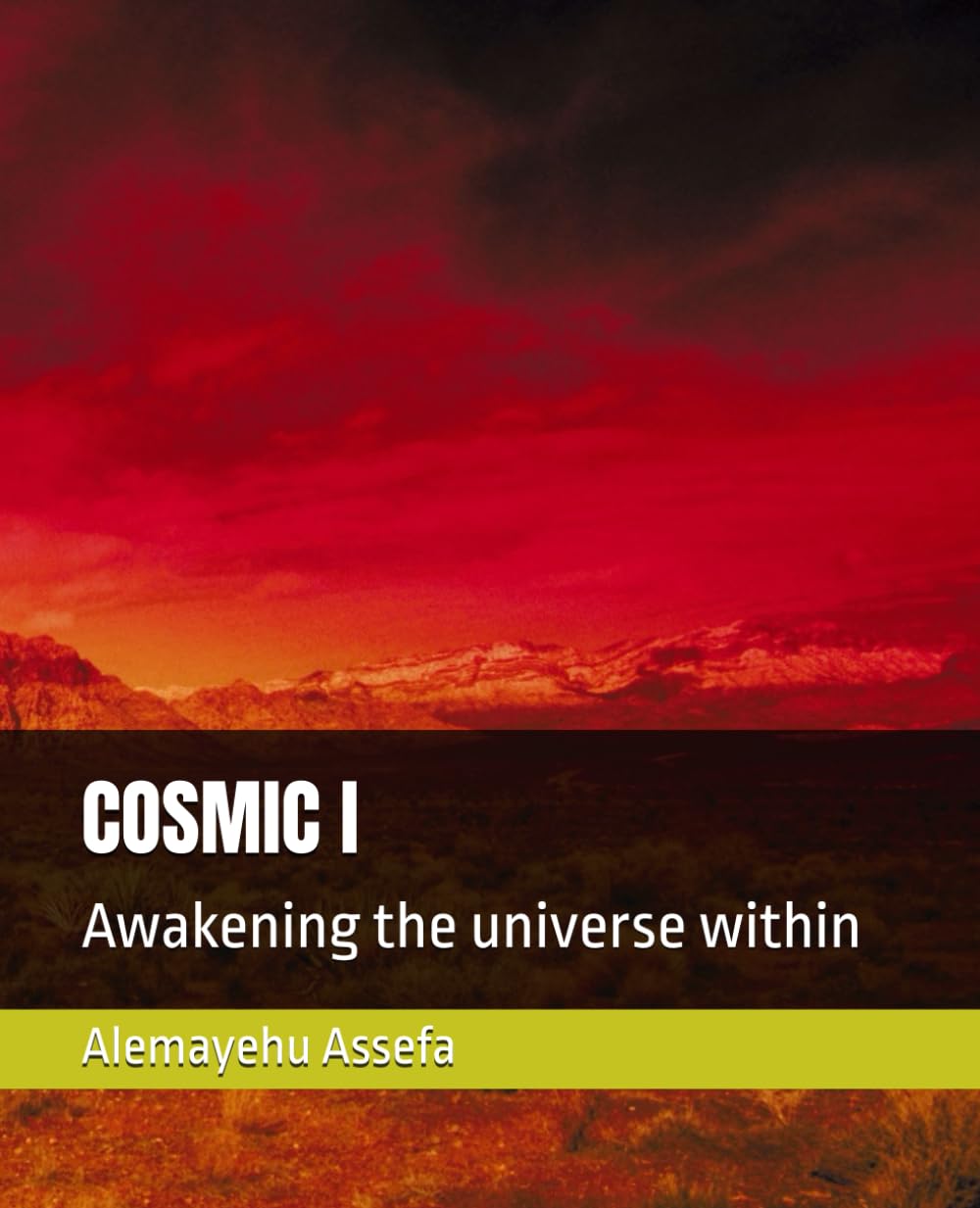 COSMIC I: Awakening the universe within