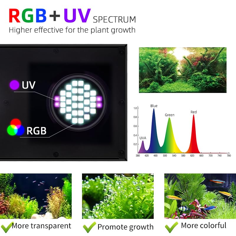View 4